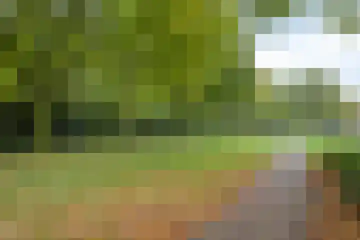 van Goenstraat 9 Veghel thumbnail 45