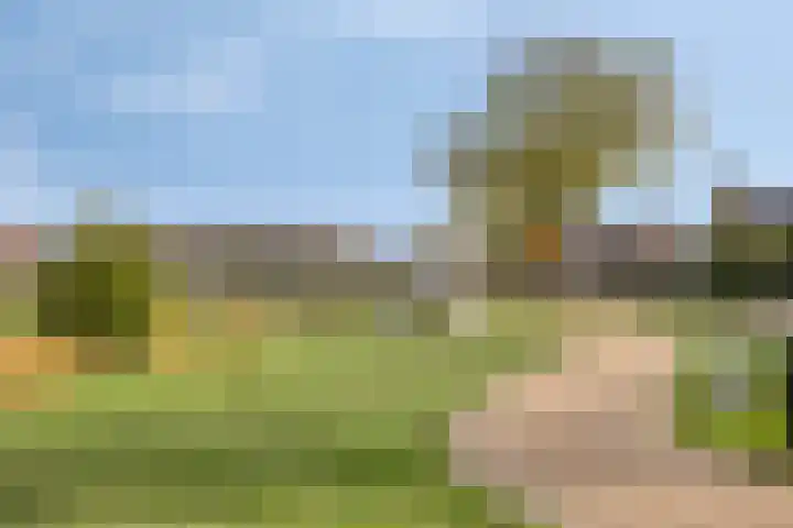 van Goenstraat 9 Veghel thumbnail 46
