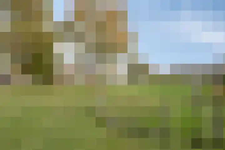 van Goenstraat 9 Veghel thumbnail 47