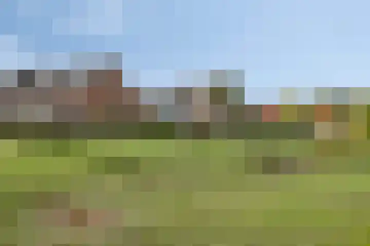 van Goenstraat 9 Veghel thumbnail 48