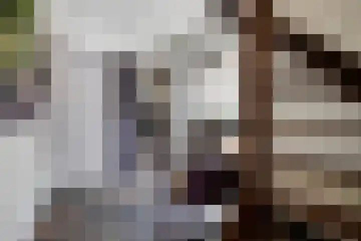 van Goenstraat 9 Veghel thumbnail 5