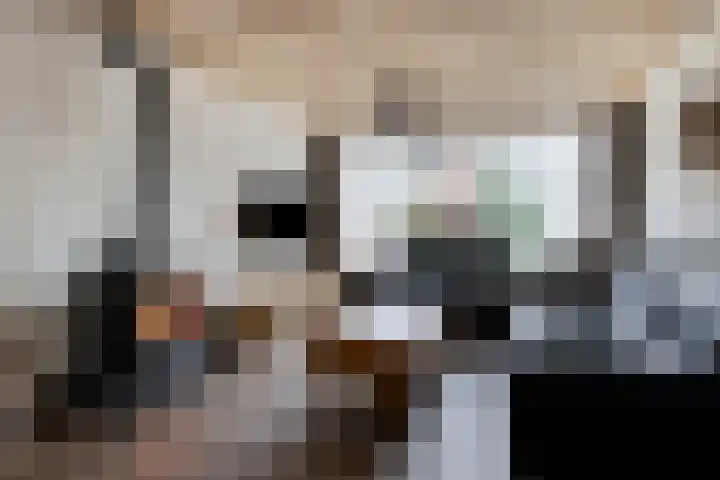 van Goenstraat 9 Veghel thumbnail 7