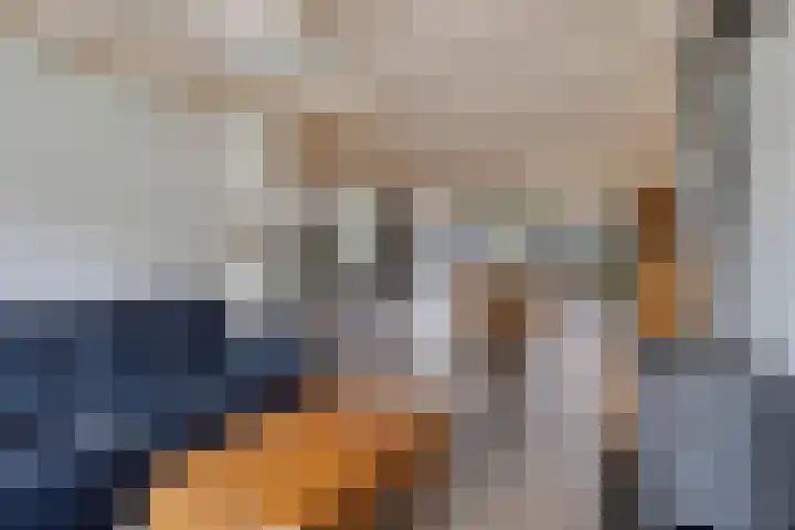 van Goenstraat 9 Veghel thumbnail 8