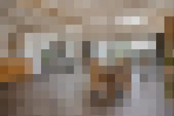 van Goenstraat 9 Veghel thumbnail 9