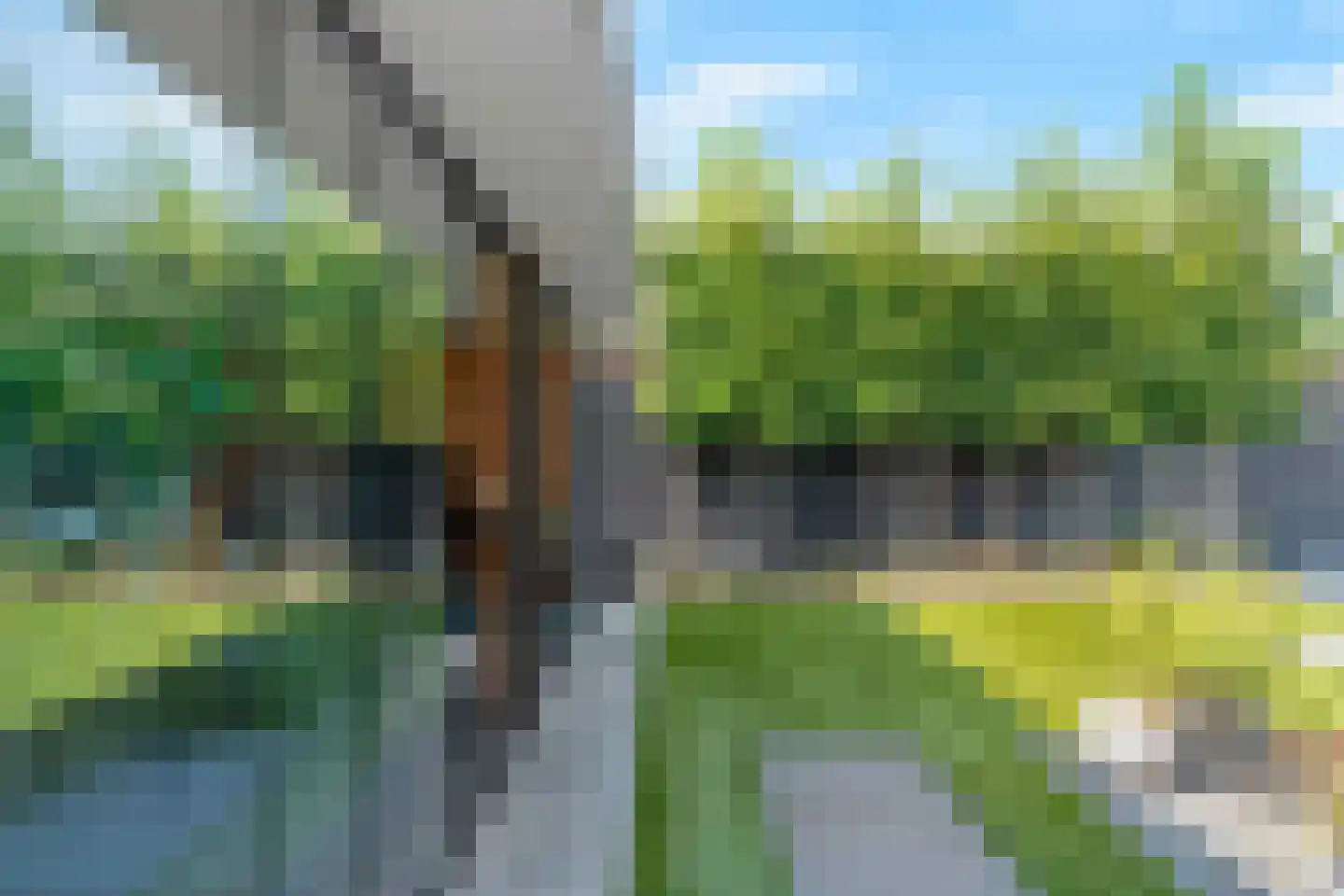 Van Gogh Allee 10 Rhoon thumbnail 18