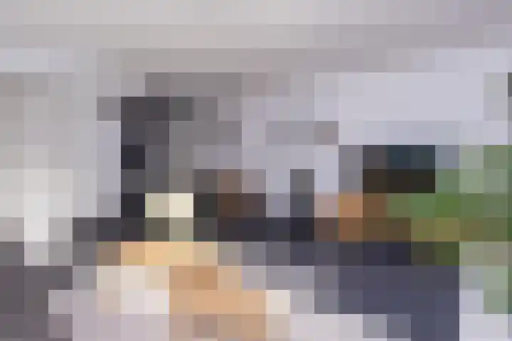 Van Goghhof 10 Hoorn thumbnail 13