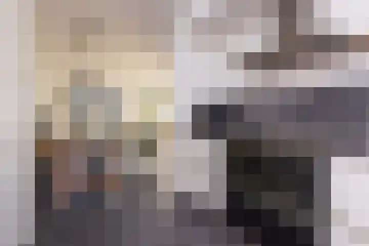 Van Goghhof 10 Hoorn thumbnail 17