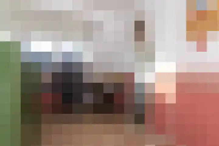 Van Goghhof 10 Hoorn thumbnail 25