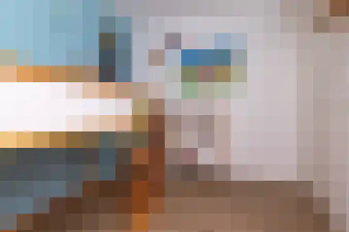 Van Goghhof 10 Hoorn thumbnail 27