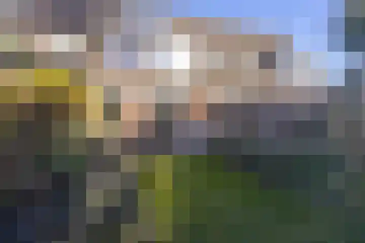 Van Goghhof 10 Hoorn thumbnail 40