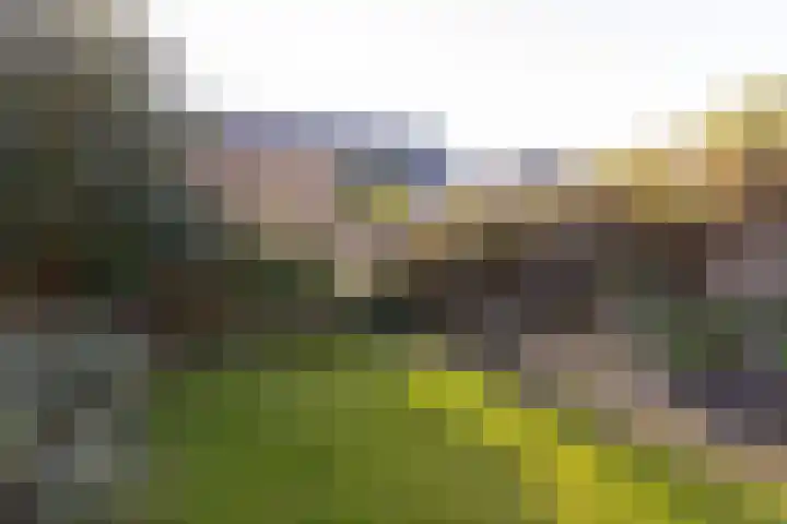 Van Goghhof 10 Hoorn thumbnail 42