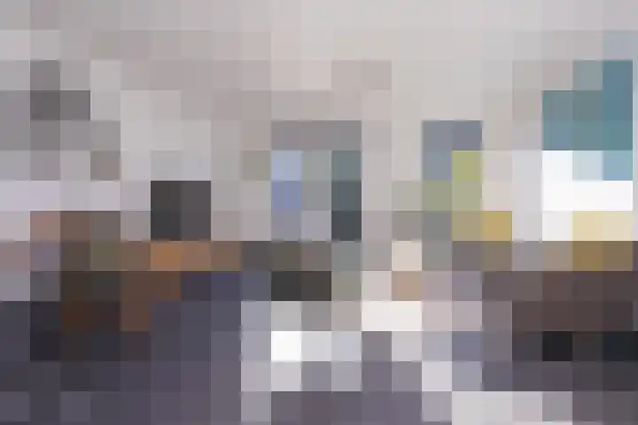 Van Goghhof 10 Hoorn thumbnail 8