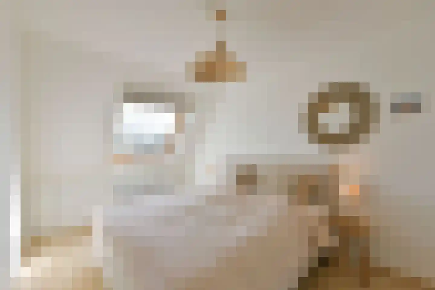 Van Goghhof 18 Hoorn thumbnail 21