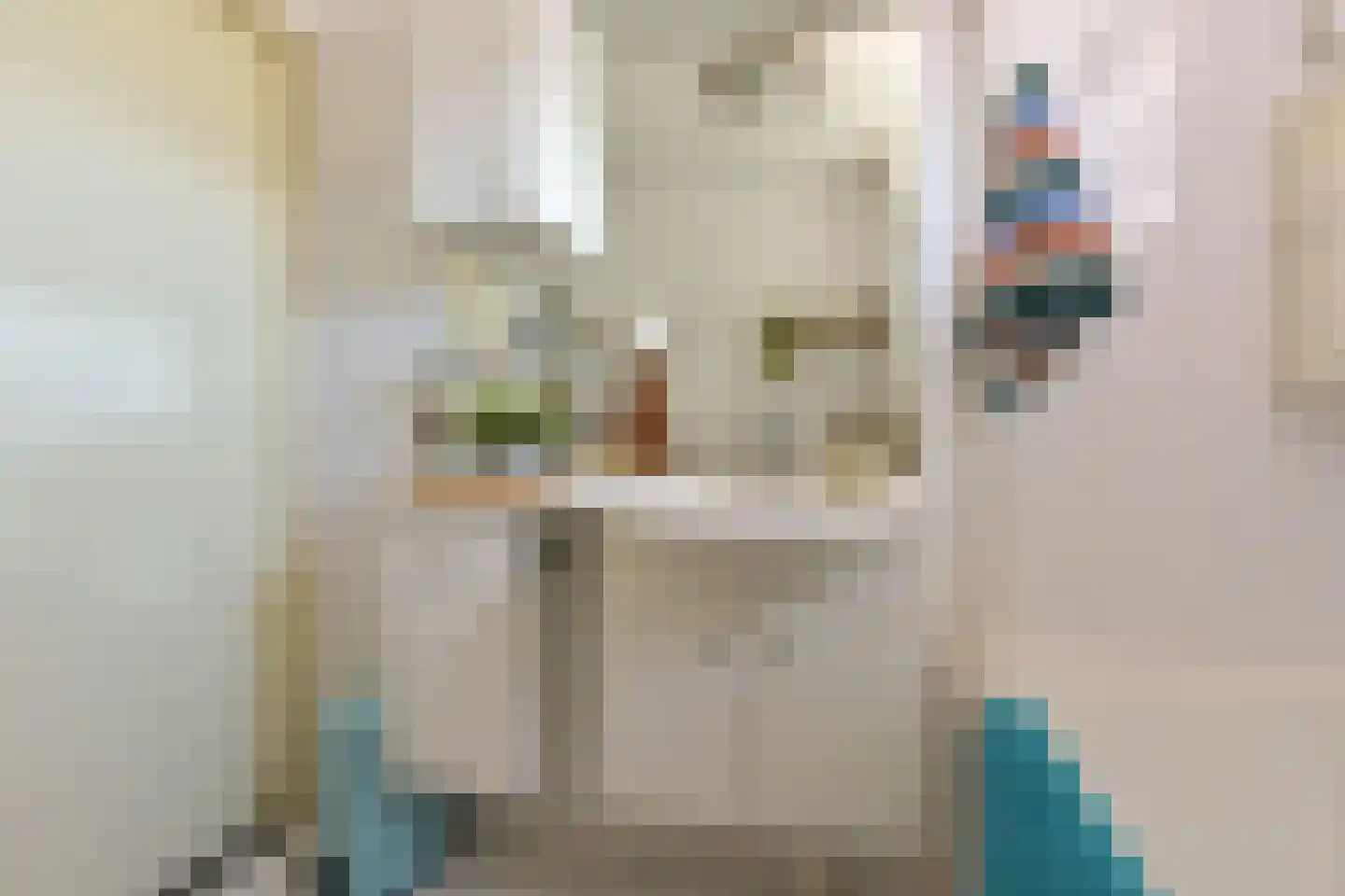 Van Goghhof 18 Hoorn thumbnail 24