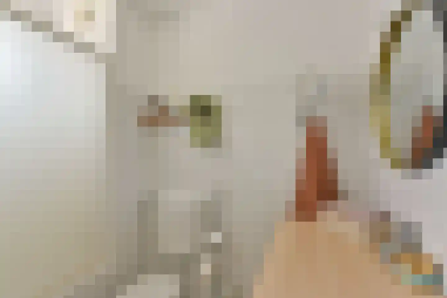 Van Goghhof 18 Hoorn thumbnail 25