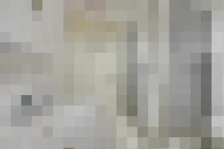 Van Goghhof 19 Hoorn thumbnail 20