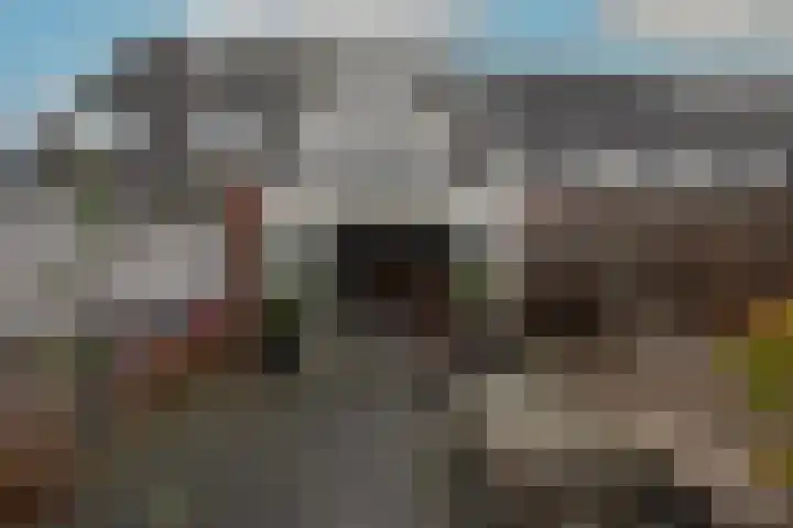 Van Goghhof 19 Hoorn thumbnail 34