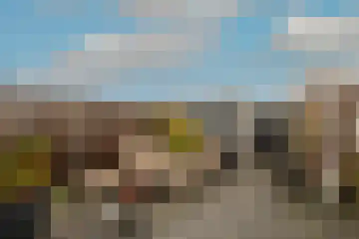 Van Goghhof 19 Hoorn thumbnail 5
