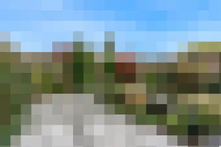 Van Goghhof 52 Hoorn thumbnail 32