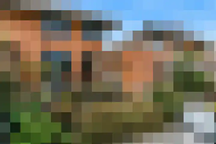 Van Goghhof 52 Hoorn thumbnail 34