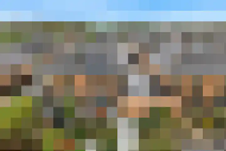Van Goghhof 52 Hoorn thumbnail 35
