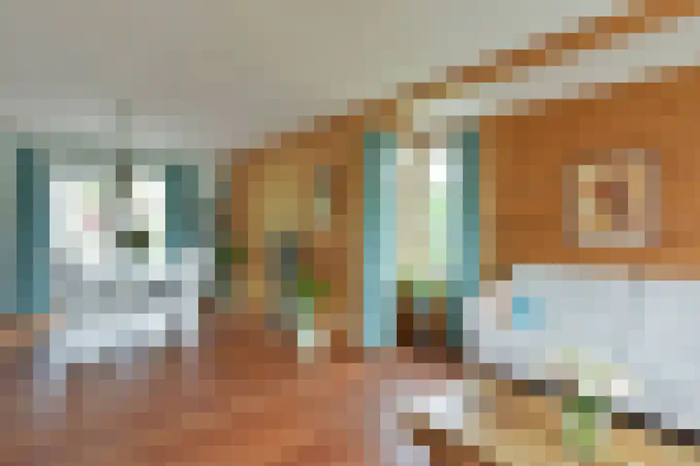 Van Goghhof 56 Hoorn thumbnail 10