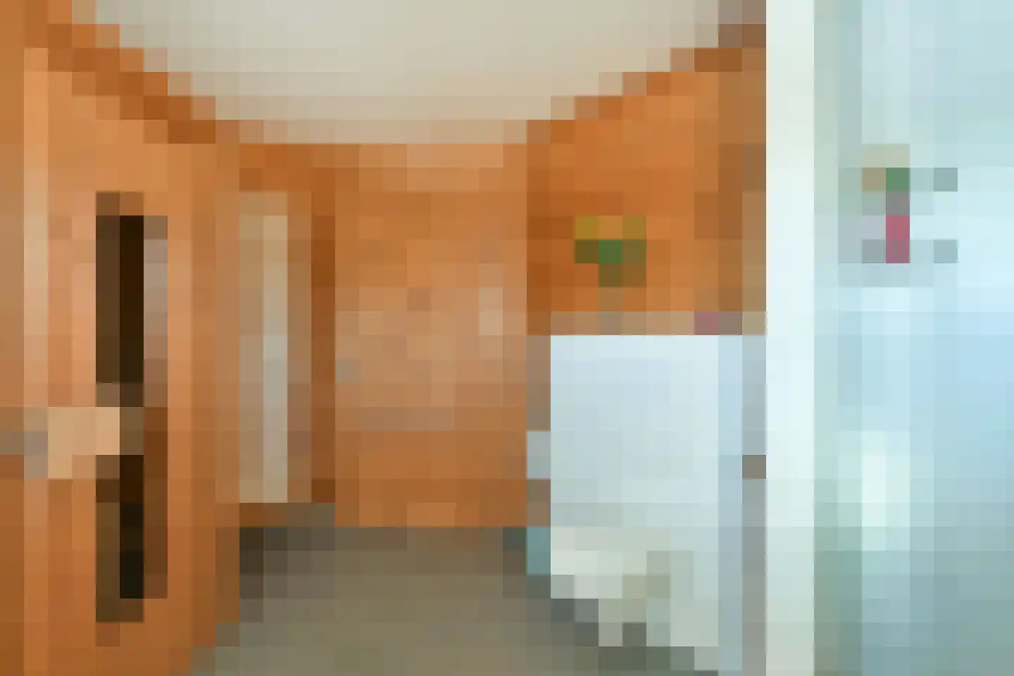 Van Goghhof 56 Hoorn thumbnail 25