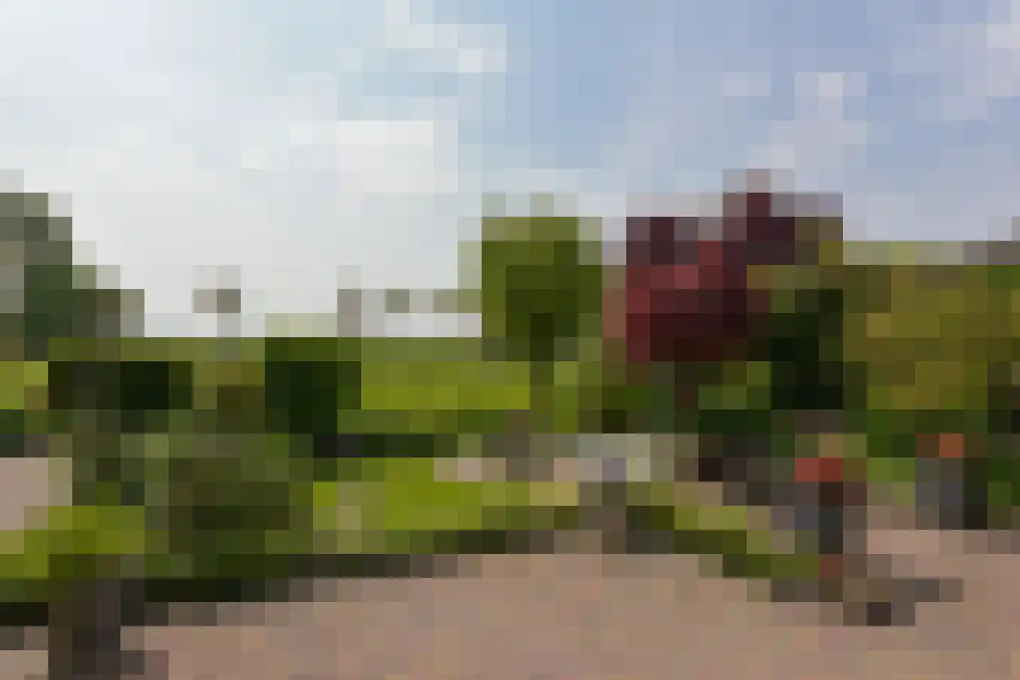 Van Goghhof 56 Hoorn thumbnail 31