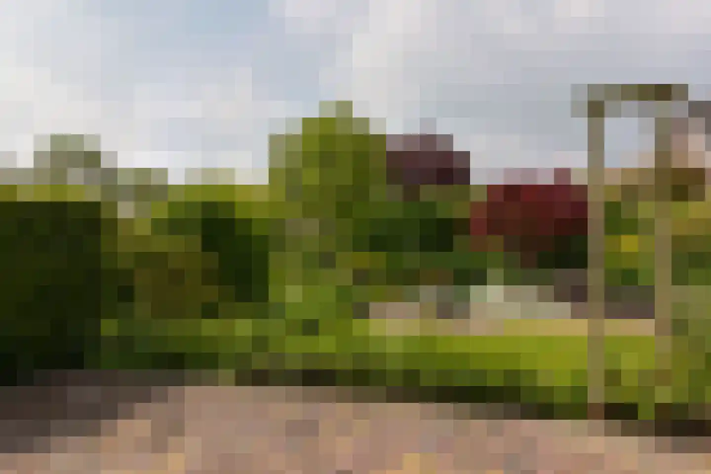 Van Goghhof 56 Hoorn thumbnail 32