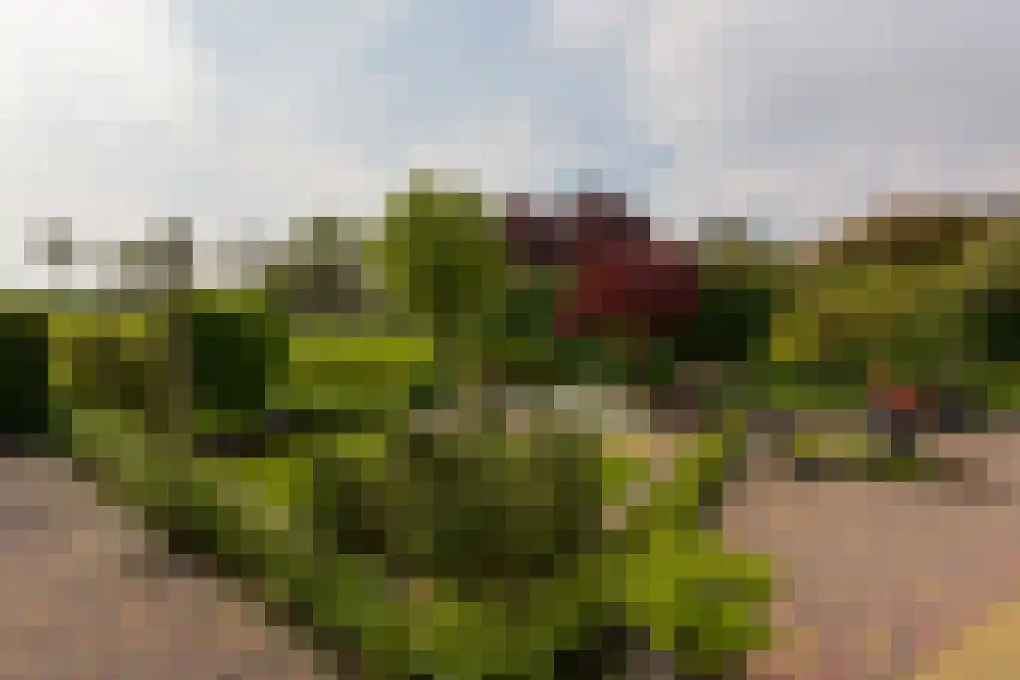 Van Goghhof 56 Hoorn thumbnail 34