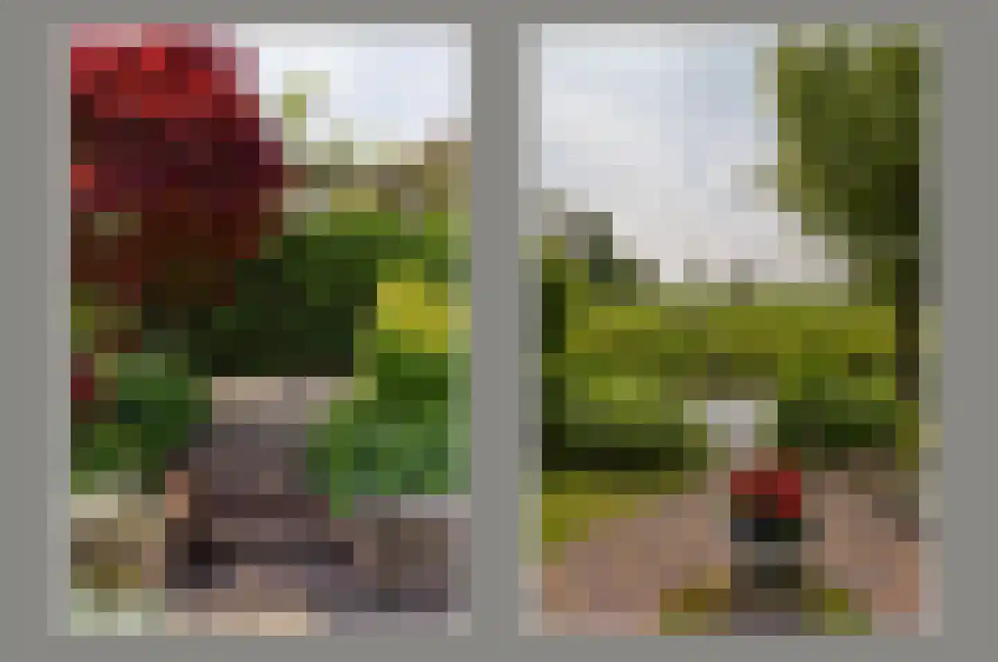 Van Goghhof 56 Hoorn thumbnail 35