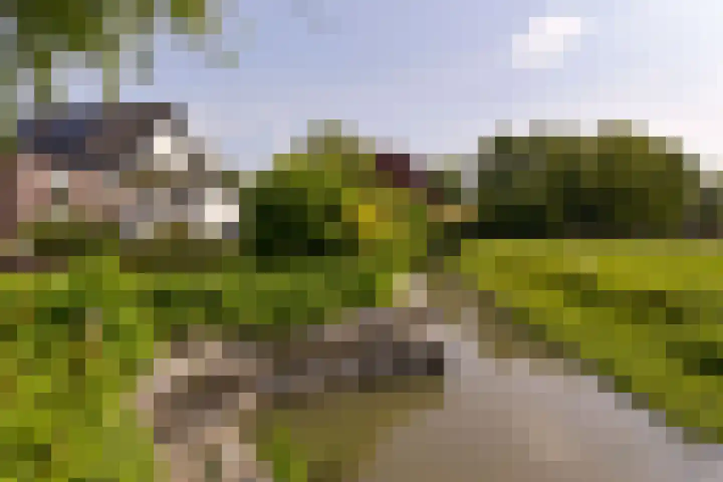 Van Goghhof 56 Hoorn thumbnail 36
