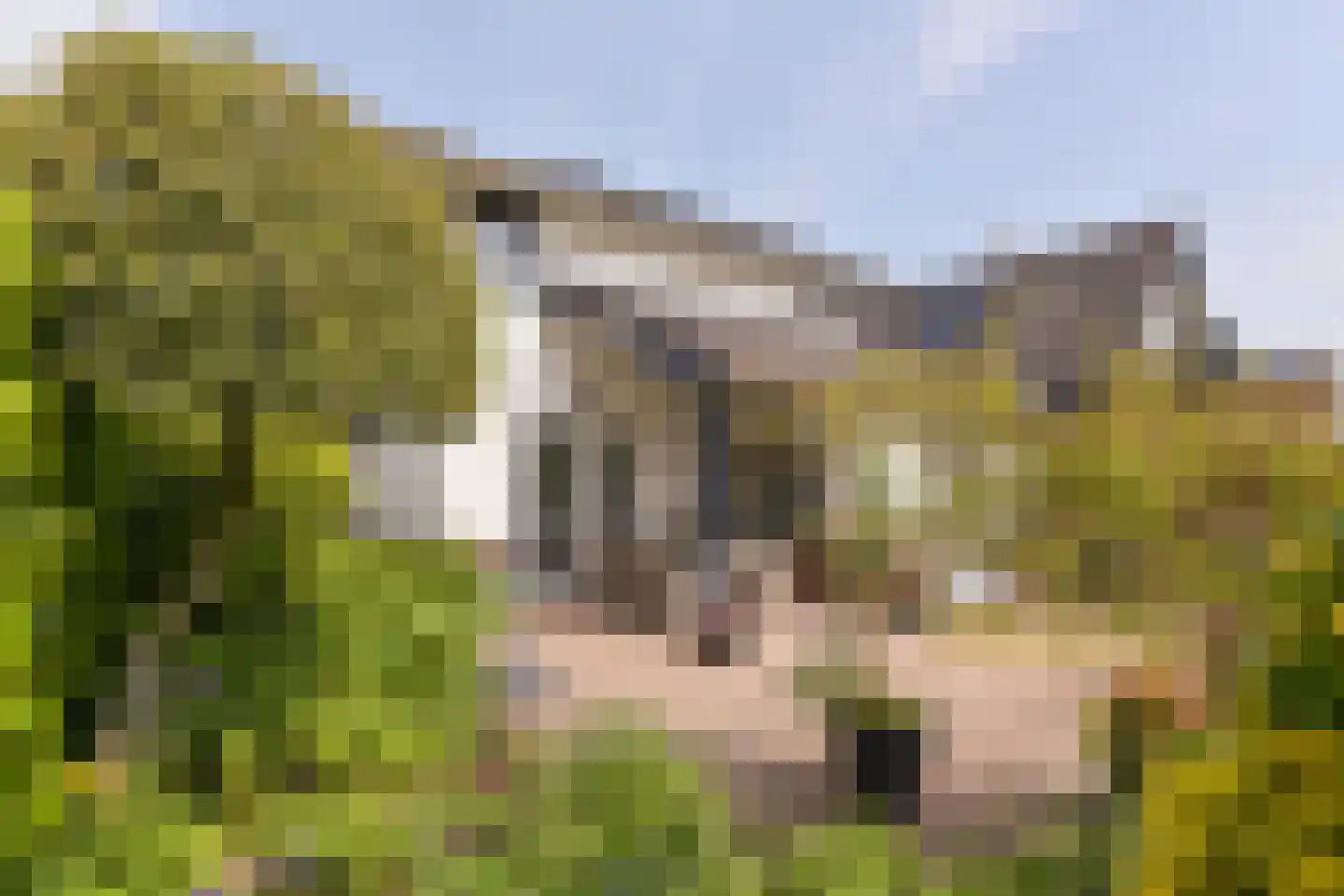 Van Goghhof 56 Hoorn thumbnail 43