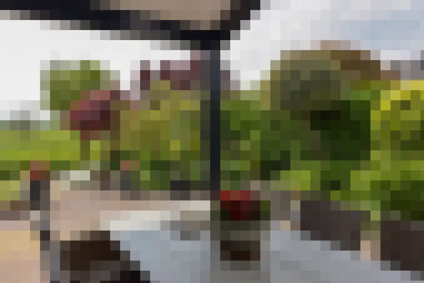 Van Goghhof 56 Hoorn thumbnail 46