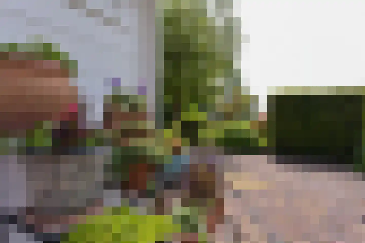 Van Goghhof 56 Hoorn thumbnail 51