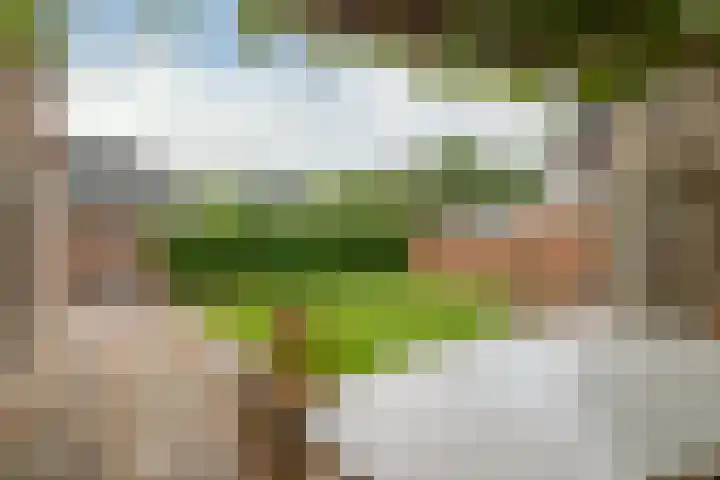 Van Goghhof 63 Hoorn thumbnail 28