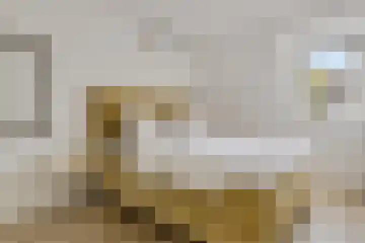 Van Goghhof 79 Hoorn thumbnail 16