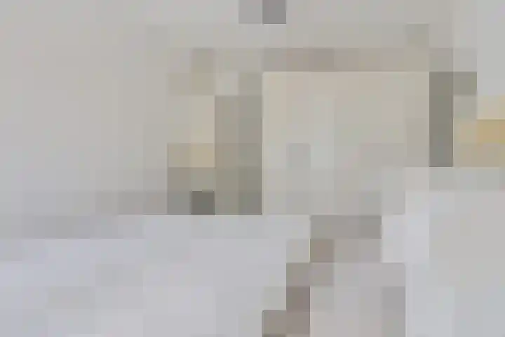 Van Goghhof 79 Hoorn thumbnail 17