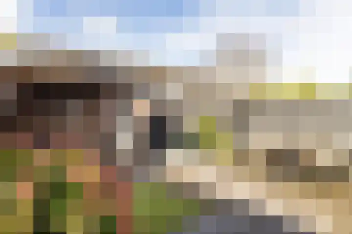 Van Goghhof 79 Hoorn thumbnail 23