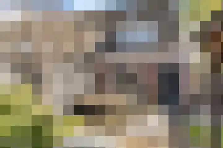 Van Goghhof 79 Hoorn thumbnail 25