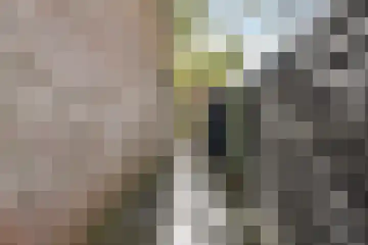 Van Goghhof 79 Hoorn thumbnail 26