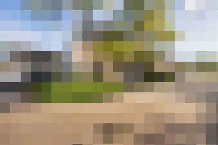 Van Goghhof 79 Hoorn thumbnail 27