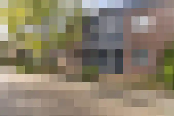 Van Goghhof 79 Hoorn thumbnail 28