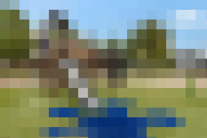 Van Goghhof 79 Hoorn thumbnail 29