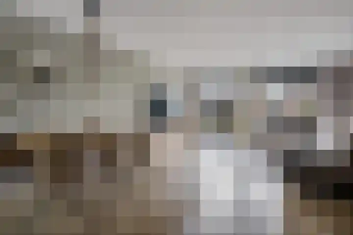 Van Goghhof 79 Hoorn thumbnail 4