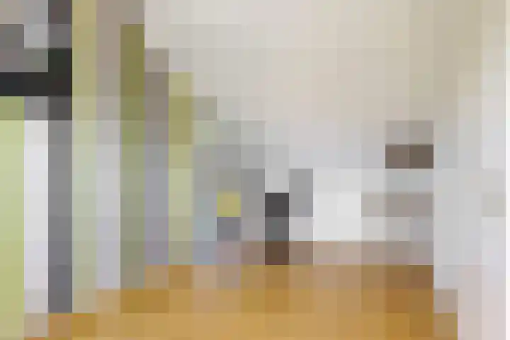 Van Goghhof 81 Hoorn thumbnail 23
