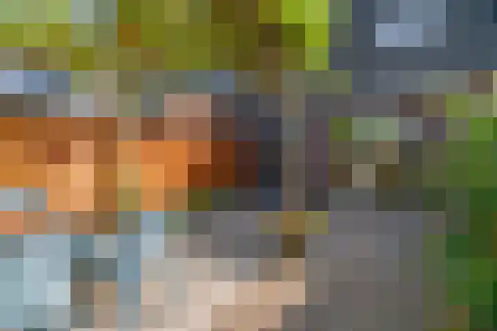 Van Goghhof 81 Hoorn thumbnail 26