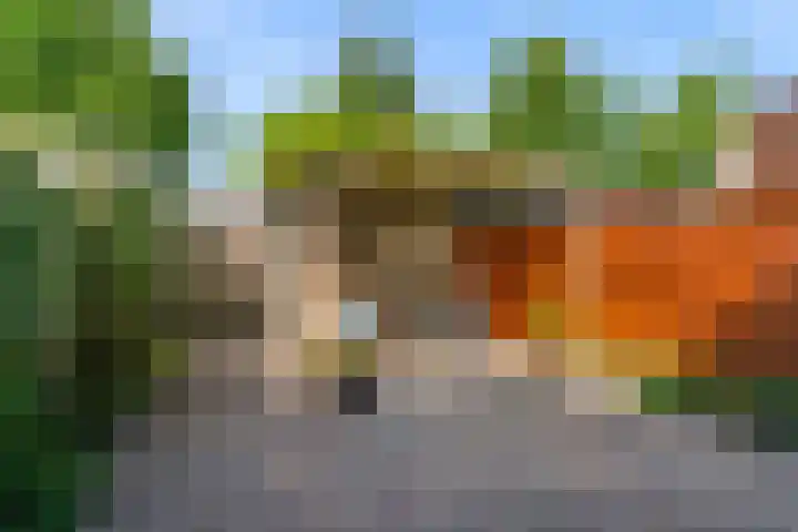 Van Goghhof 81 Hoorn thumbnail 27