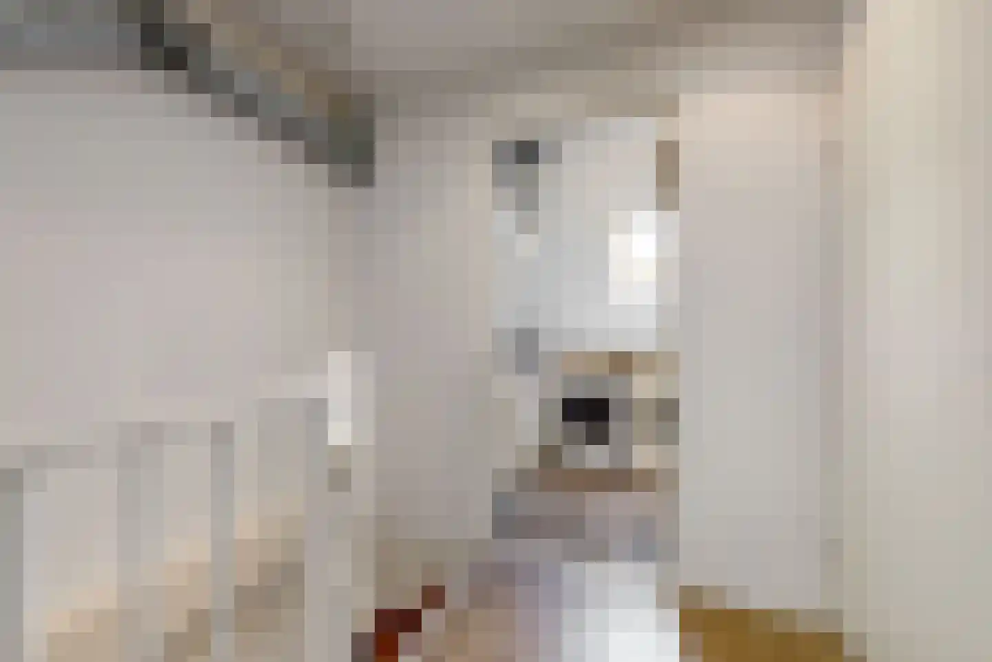 Van Goghhof 88 Hoorn thumbnail 25