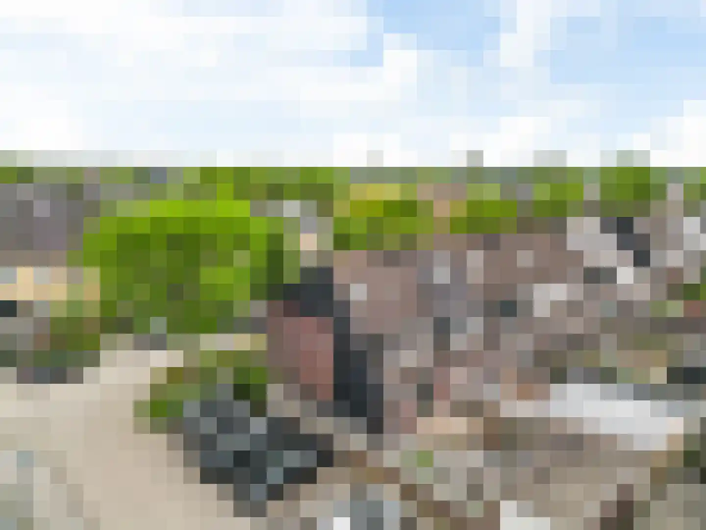 Van Goghhof 88 Hoorn thumbnail 28